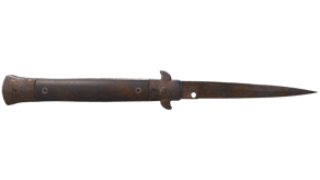 Rust Coat image