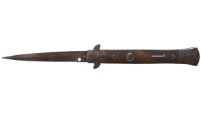 Rust Coat image