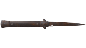 Rust Coat image
