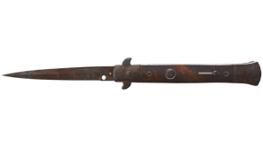 Rust Coat image