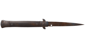 Rust Coat image
