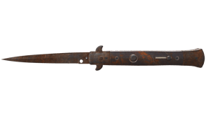 Rust Coat image