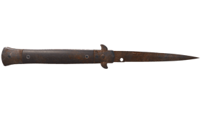 Rust Coat image