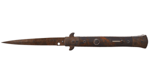 Rust Coat image