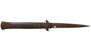 Rust Coat image
