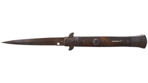 Rust Coat image