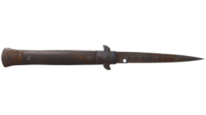 Rust Coat image