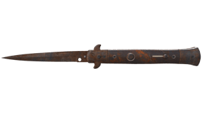 Rust Coat image