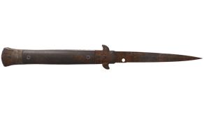 Rust Coat image