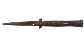 Rust Coat image