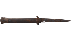 Rust Coat image