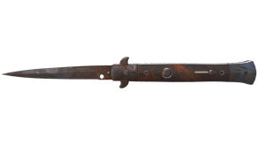 Rust Coat image