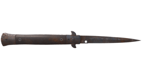 Rust Coat image
