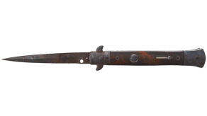 Rust Coat image