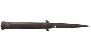Rust Coat image