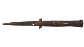 Rust Coat image
