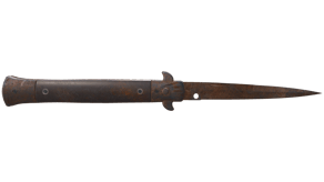 Rust Coat image