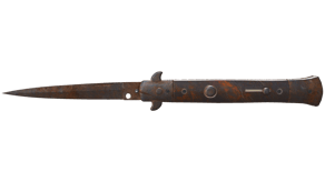 Rust Coat image