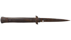 Rust Coat image