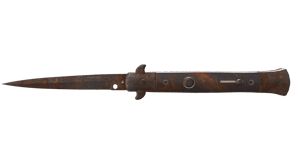 Rust Coat image