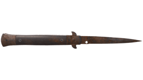 Rust Coat image