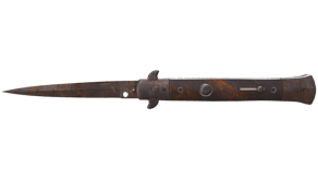 Rust Coat image