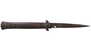 Rust Coat image