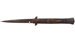 Rust Coat image