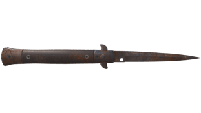 Rust Coat image