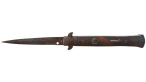 Rust Coat image