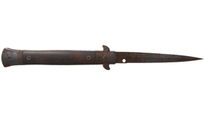Rust Coat image