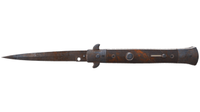 Rust Coat image