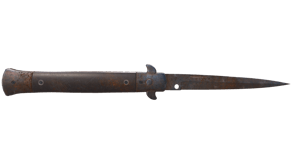 Rust Coat image