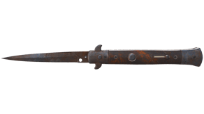 Rust Coat image