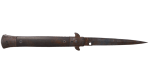 Rust Coat image