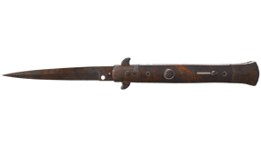 Rust Coat image