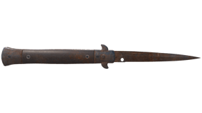 Rust Coat image