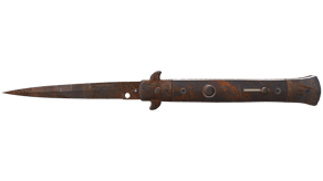 Rust Coat image