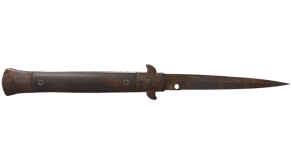 Rust Coat image