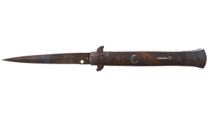 Rust Coat image