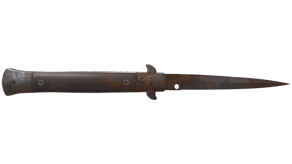 Rust Coat image