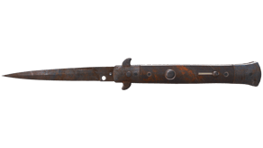 Rust Coat image