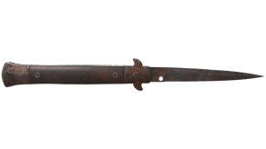 Rust Coat image