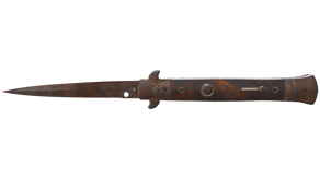 Rust Coat image