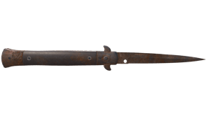 Rust Coat image