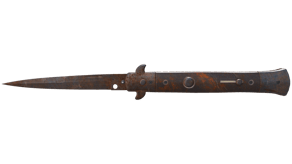 Rust Coat image