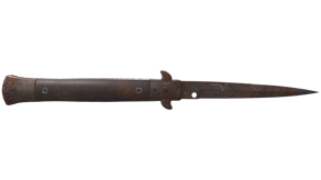 Rust Coat image