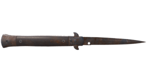 Rust Coat image