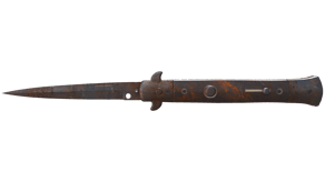 Rust Coat image
