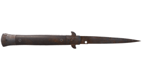 Rust Coat image